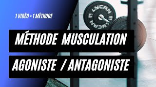 Musculation méthode AgonisteAntagoniste [upl. by Liw]