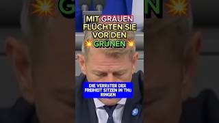 💥WENN die GRÜNEN weg sind KNALLEN die Korken🍾⚡💥 afd diegrünen bärbock habeck ricardalang bsw [upl. by Eimac820]