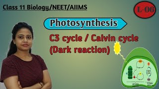 Ch13 Photosynthesis L06  C3 cycle  Calvin cycle  Dark reaction  Biosynthetic phase NEET AIIMS [upl. by Ahsienod869]