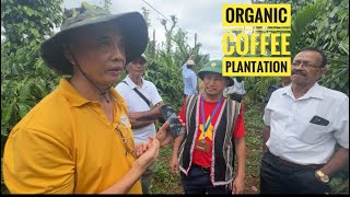 VISITING ORGANIC COFFEE PLANTATION IN VIETNAM DAK LAK ORGANISED BY HASIRU AGRI TOURISM [upl. by Margaux69]