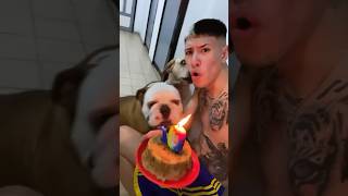 EL GORDO FALCIONI 😂🐷❤️ EN LOS 10 AÑOS DEL VIEJO 👴🏻 ROCKY 🐶👹 argentina parati humor viral [upl. by Nethsa]