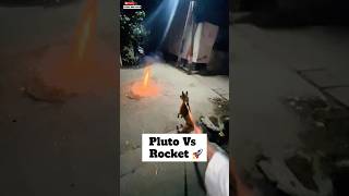 pluto Ki Traf Se Happy Diwali 🚀  minivlog diwali doglover [upl. by Naimaj744]