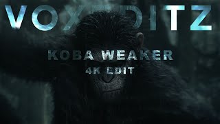 Koba Weaker😈  Dawn of the planet of the apes  4K Edit [upl. by Attelocin200]