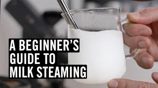 Everything You Need To Know To Steam Great Milk [upl. by Minnie]