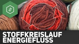 Stoffkreisläufe und Energiefluss  Ökologie [upl. by Adrian]