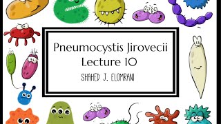 11 Pneumocystis Jirovecii [upl. by Ydnelg420]