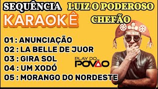 KARAOKÊ SEQUÊNCIA FORRÓ  Versão  LUIZ O PODEROSO CHEFÃO 5 playback com letra [upl. by Brena]