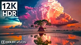 Dolby Vision 12K HDR 240fps  Experience the Unbelievable Nature  8K Earth [upl. by Chaddie]