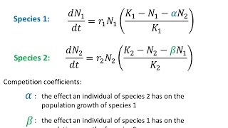 Modelling Interspecific Competition [upl. by Enimajneb66]