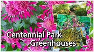 Centennial Park Greenhouses [upl. by Booth]