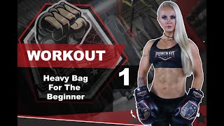 Punch Fit Beginners Heavy Bag Workout 1 [upl. by Adamsen]