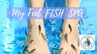 Ultimate Fish Spa for Relaxation and Renewal  Discover the Benefits of Garra Rufa Fish Pedicure [upl. by Lyckman]