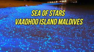 Sea of Stars  Vaadhoo Island Maldives  Tour Around The World [upl. by Madea]