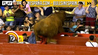 4K ▪ ESPECIAL TOROS EN ESPAÑA PLAY  Eventos en directo resúmenes y otro tipo de contenido [upl. by Neral]