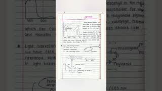 photosynthesis in Higher plants  Class 11th  Handwriten Short Notes  CBSE  NEET  JEE [upl. by Collen463]