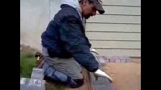 Installing a Paver Patio [upl. by Ahsilad]