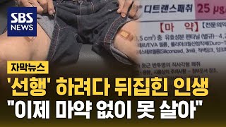 선행 하려다 뒤집힌 인생…quot이제 마약 없이 못 살아quot 자막뉴스  SBS [upl. by Senn]