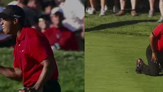 Tiger Woods Greatest Ever Nike Commercial [upl. by Annoynek]