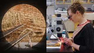 Microscopically reweaving a 1907 painting  CONSERVATION STORIES [upl. by Rolanda]