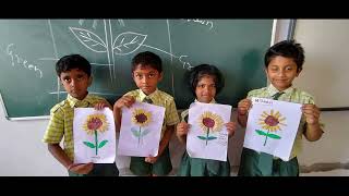 Pasta Sunflower Activity GRADE1amp2 Calendar Activity [upl. by Rasla]