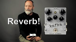 WILD and WONDERFUL Reverb  Orion Effekte Kafka Demo [upl. by Ahtael]