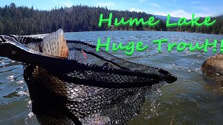 Hume Lake Huge Trout Episode 6 [upl. by Lovell]