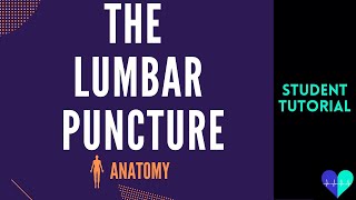 The Lumbar Puncture  Anatomy Tutorial [upl. by Ylicec25]