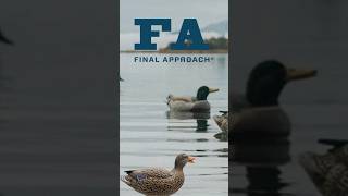 Final Approach Wildfowling Decoys [upl. by Hayott]