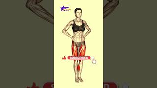 No More Excuses Day 3 ➜ 5 MIN Standing Abs Workout to Lose Belly Fat [upl. by Ibbie]