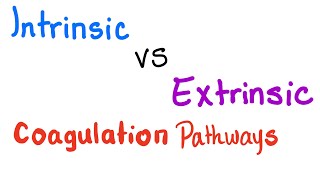 Intrinsic vs Extrinsic Coagulation pathways  Hemostasis  Bleeding and Coagulation [upl. by Ahtelra909]