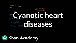 Cyanotic heart diseases  Diagnosis and treatment  NCLEXRN  Khan Academy [upl. by Ladnek819]