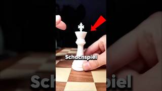 Hier ist das beste Schach der Welt 😱 [upl. by Netsrak185]