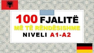 100 fjalitë më të rëndësishme  Gjermanisht për fillestarë  Niveli A1 A2 Die 100 wichtigsten Sätze [upl. by Nyar]