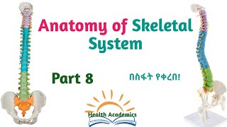 Anatomy of Skeletal System Vertebral Column Interesting Video with Amharic Speech Part 8 [upl. by Pearl]