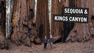 TWO National Parks in TWO DAYS Sequoia and Kings Canyon [upl. by Bathsheeb]