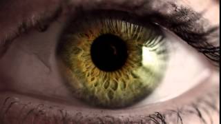 046012428 green eye opens pupil dilates H264HD1080 [upl. by Dnomso]