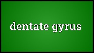 Dentate gyrus Meaning [upl. by Nurav30]