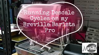 Descaling My Breville Barista Pro [upl. by Jacquenetta173]