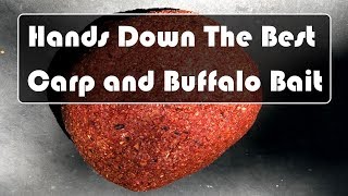 Best Carp and Buffalo Bait Recipe [upl. by Zere]