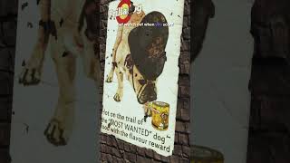 The Best Dog Food in Fallout London fallout falloutlondon fallout4 [upl. by Hibben295]