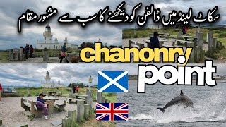 Scotlands Best Place to See Dolphins  Chanonry Point  London to Scotland  Trip 2024 [upl. by Letnuhs658]