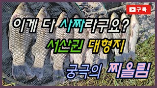 해결사 TV 시즌3 서산 풍전지의 대물붕어 타작 [upl. by Oza]