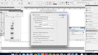 Indesign  Numbering amp Section Options [upl. by Swen359]