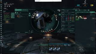 EveOnline Vexor Navy Issue Ratting Tutorial [upl. by Loyce]