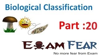 Biology Biological Classification part 20 Viruses  Characteristics CBSE class 11 XI [upl. by Dominica610]