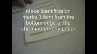 Chromatographic Separation of Amino Acids [upl. by Gimble163]