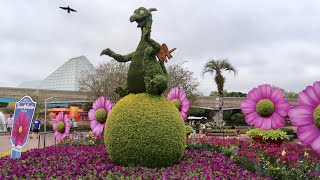 Walt Disney World EPCOT Flower amp Garden Festival 2019  World Showcase Foods  New Event Merchandise [upl. by Regen]