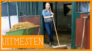 Stal uitmesten  PaardenpraatTV [upl. by Ardelis]