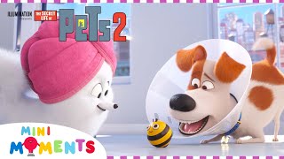 The Secret Life of Pets 2 2019 Final Battle with healthbars [upl. by Airdnax]