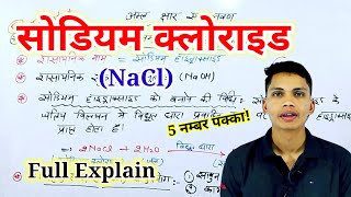 सोडियम क्लोराइड क्या है  sodium chloride kya hai  sodium chloride ka upyog chemistry class 10th [upl. by Nadnal]